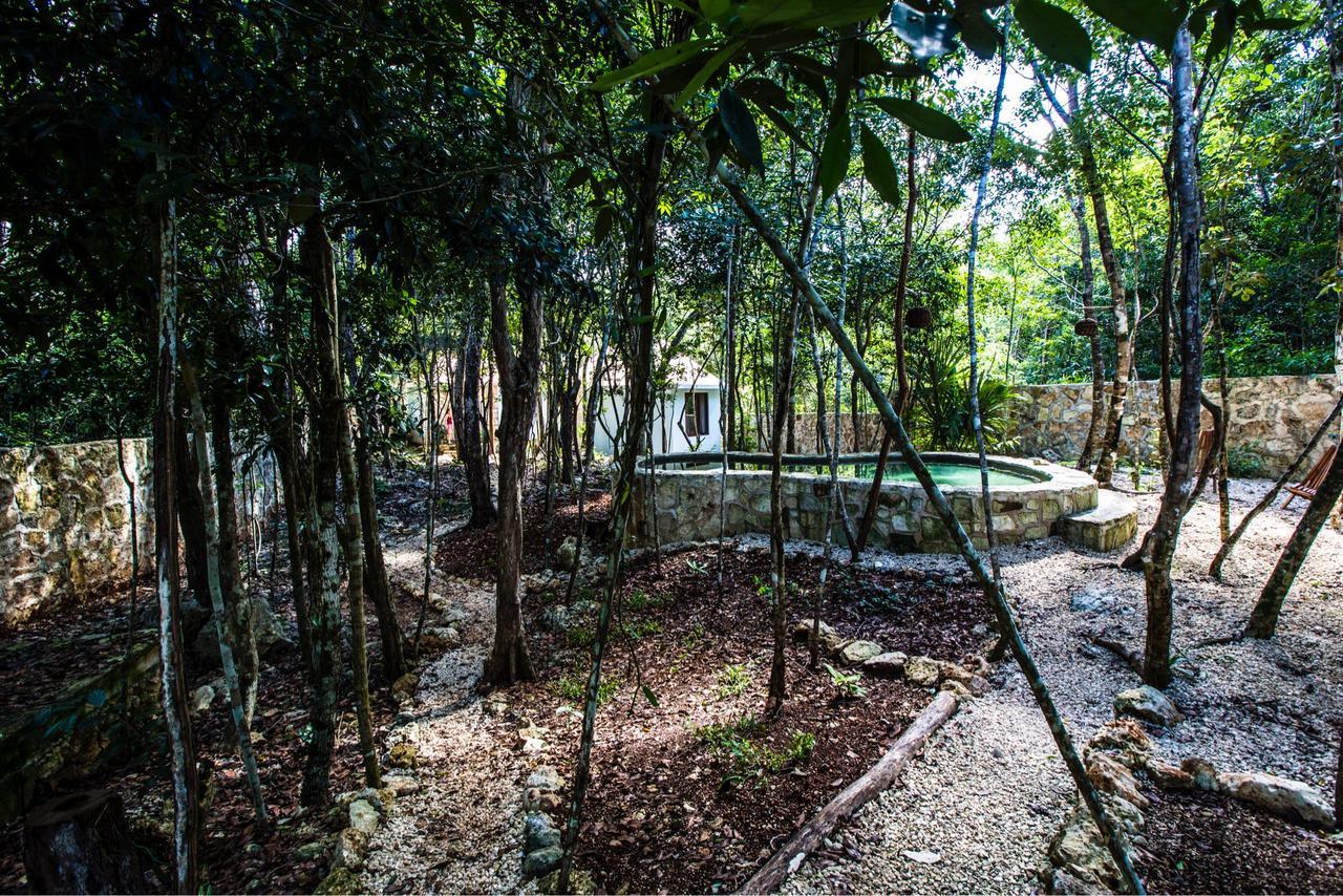 Escarabajo Rojo Bed & Breakfast ตูลุม ภายนอก รูปภาพ